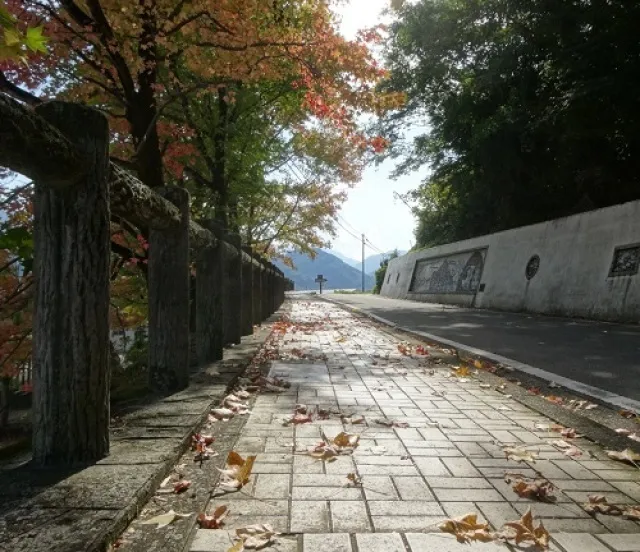 【紅葉・見ごろ】陶板の道_1