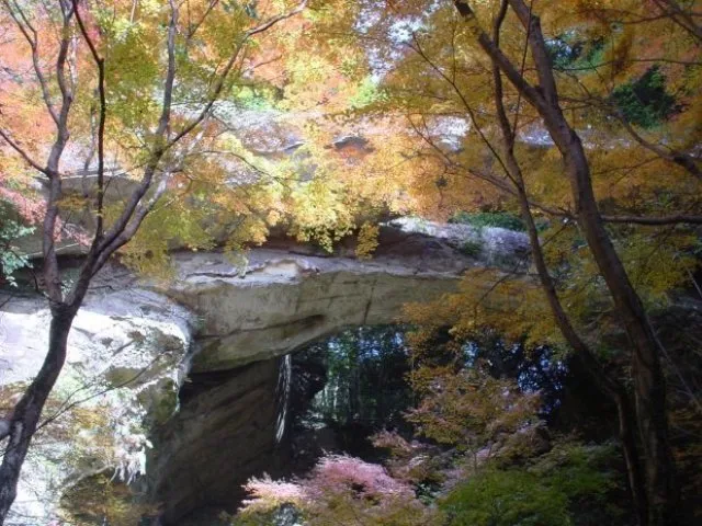 【紅葉・見ごろ】御橋観音 石橋_1