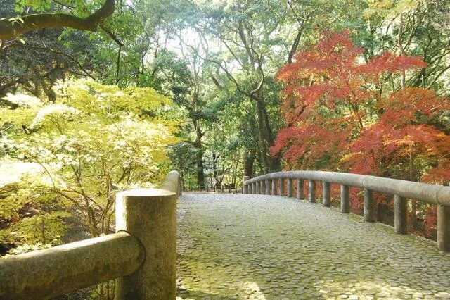 【紅葉・見ごろ】吾平山上陵（あいらさんりょう）_1