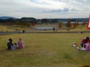 【紅葉・見ごろ】鹿深夢の森_1