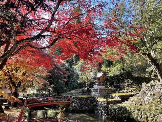 岐阜の紅葉の名所・見頃2025