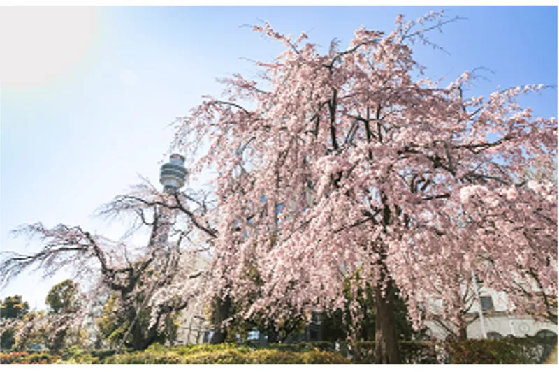 ガーデンネックレス横浜2026
