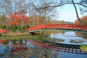 【紅葉・見ごろ】八郎沼公園_1