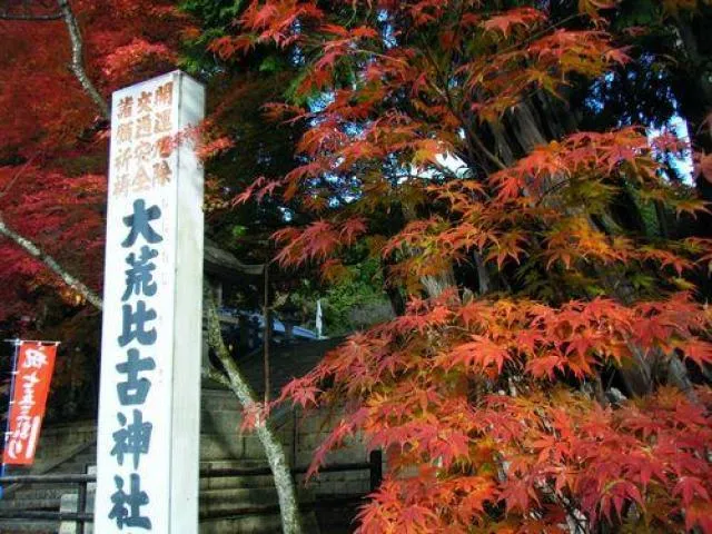 【紅葉・見ごろ】大荒比古神社_1