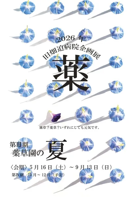 企画展　薬草園の夏_1