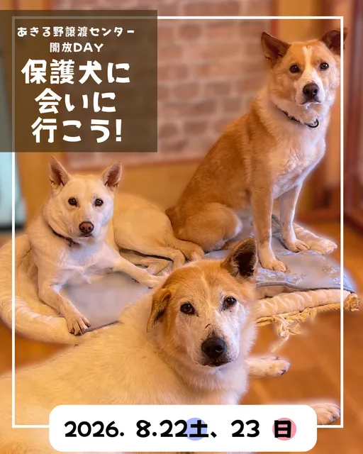 保護犬に会いに行こう！_1