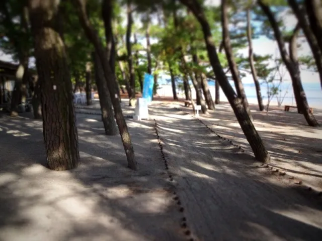 【海水浴】重富海水浴場_1