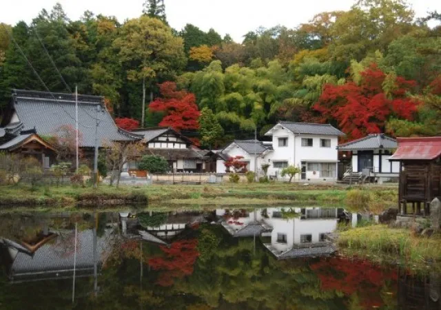 【紅葉・見ごろ】大慈寺_1