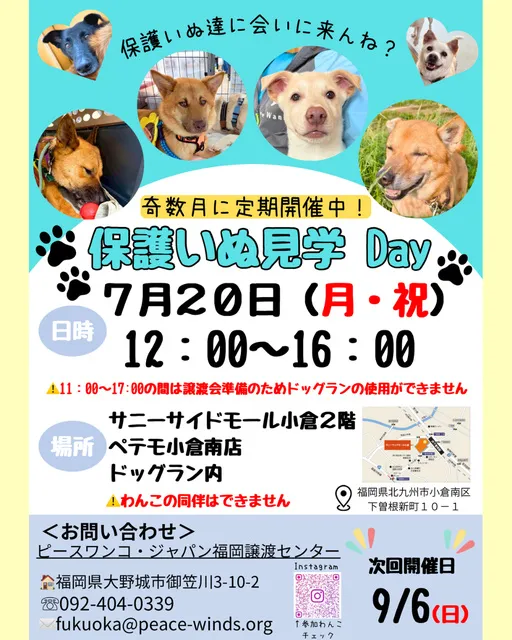 保護いぬ見学Dayinペテモ小倉南店_1