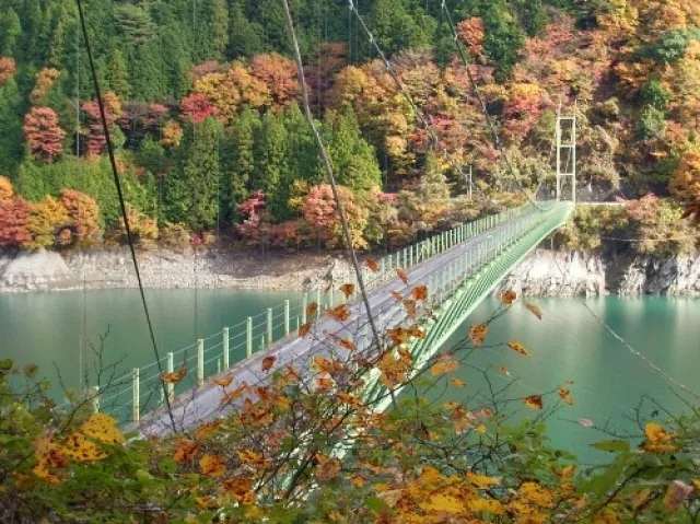 【紅葉・見ごろ】井川大橋_1