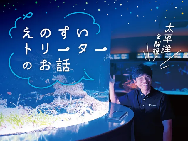 太平洋を解説！ えのすいトリーターのお話_1