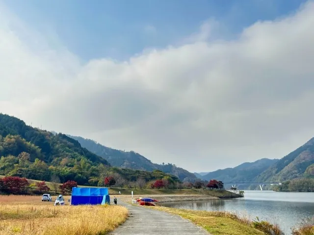【紅葉・見ごろ】奥津湖・苫田ダム_1