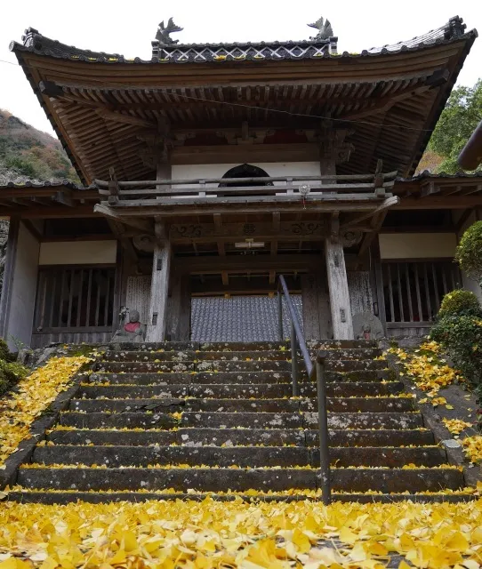 【紅葉・見ごろ】甘南備寺_1