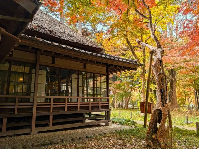 【紅葉・見ごろ】蘆花恒春園_1
