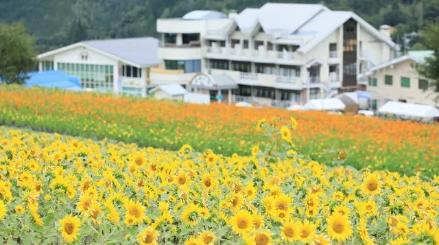 ほおのき平天空のひまわり園_1