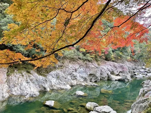 【紅葉・見ごろ】長門峡_1