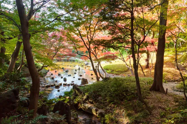【紅葉・見ごろ】小石川後楽園_1