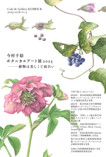今村千絵（いまむら・ちえ）ボタニカルアート展2025 ～植物は美しくて