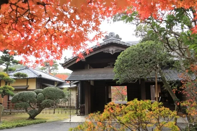 【紅葉・見ごろ】旧堀田邸_1