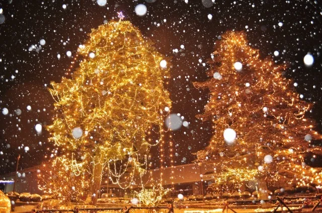 第32回クリスマスナイトフェスティバル_1