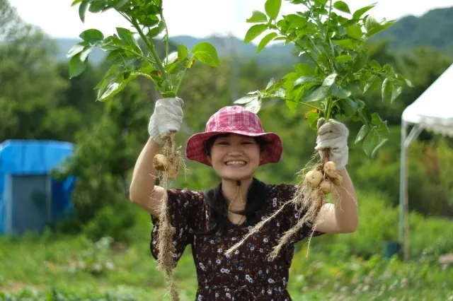 なべくら高原で野菜収穫&ズッキーニボート作り_1