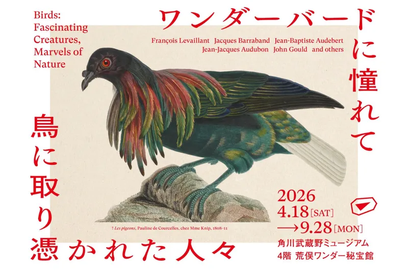 ワンダーバードに憧れて　鳥に取り憑かれた人々