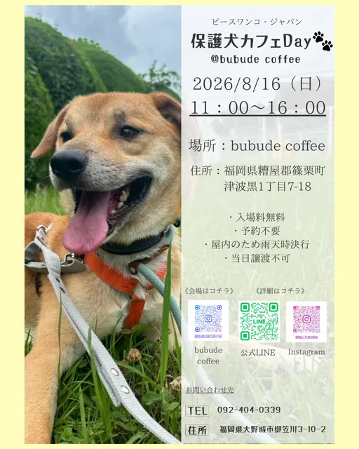 保護犬カフェDay＠bubude coffee_1