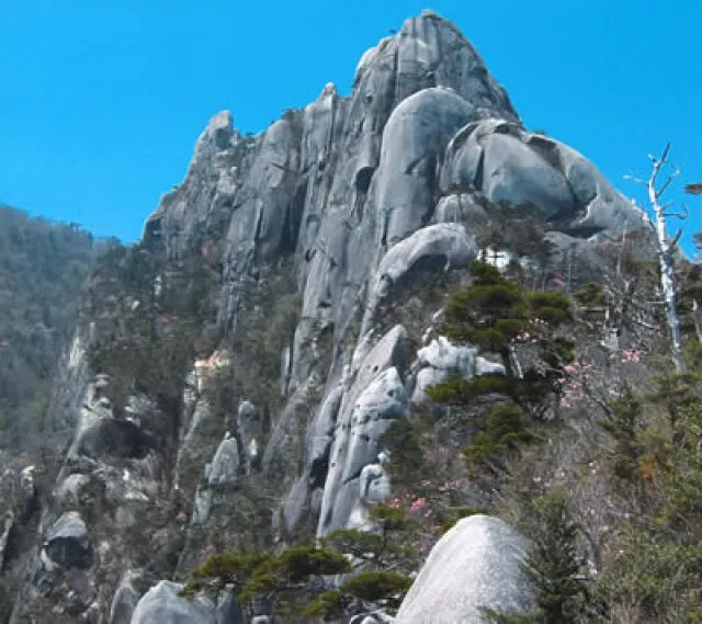 【紅葉・見ごろ】大崩山_1
