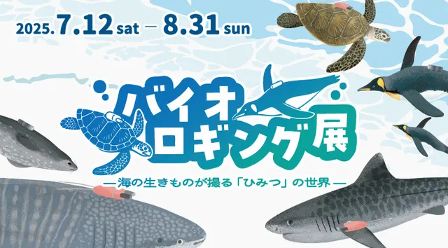 企画展「バイオロギング展－海の生きものが撮る秘密の世界－」_1
