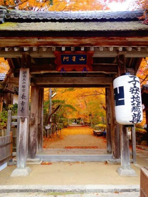 【紅葉・見ごろ】長寿寺（東寺・湖南三山）_1