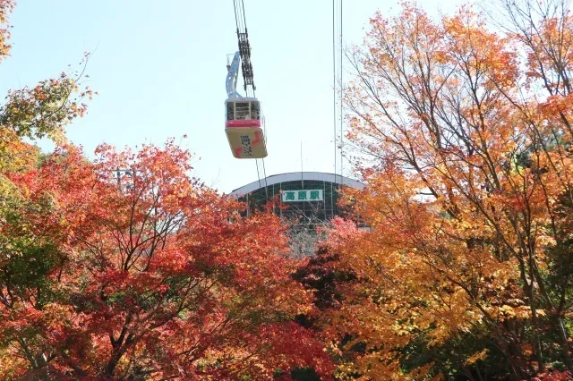 【紅葉・見ごろ】別府ロープウェイ_1