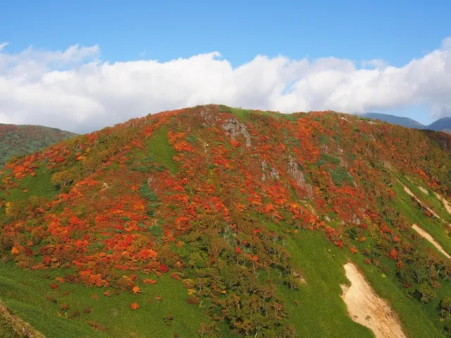 【紅葉・見ごろ】網張温泉周辺_1