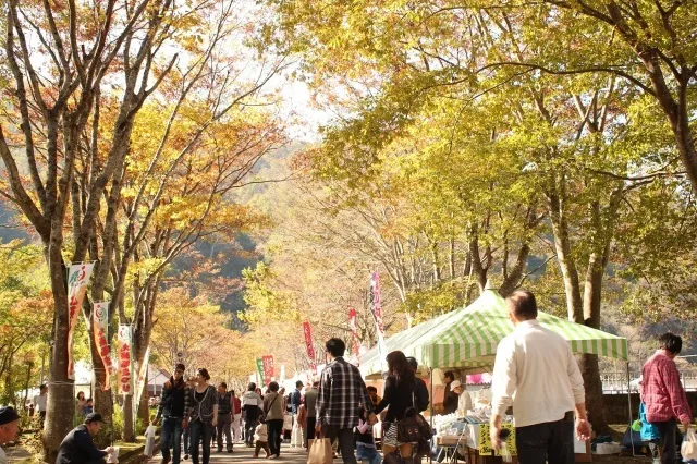 九頭竜紅葉まつり　～つながる、広がる！中部縦貫自動車道～_1
