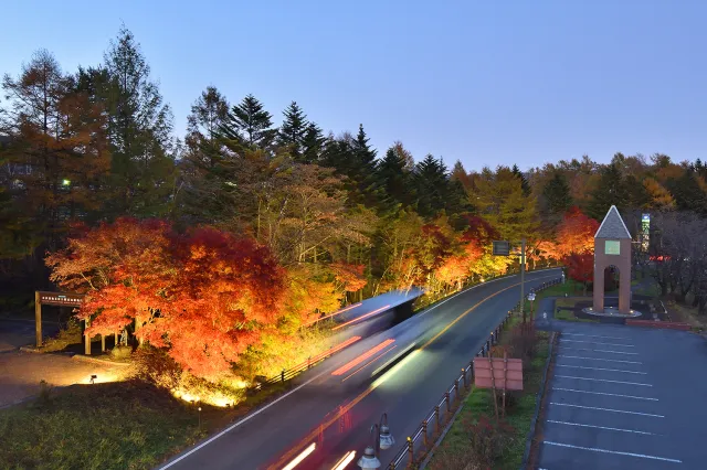 道の駅　草津運動茶屋公園「紅葉ライトアップ」_1