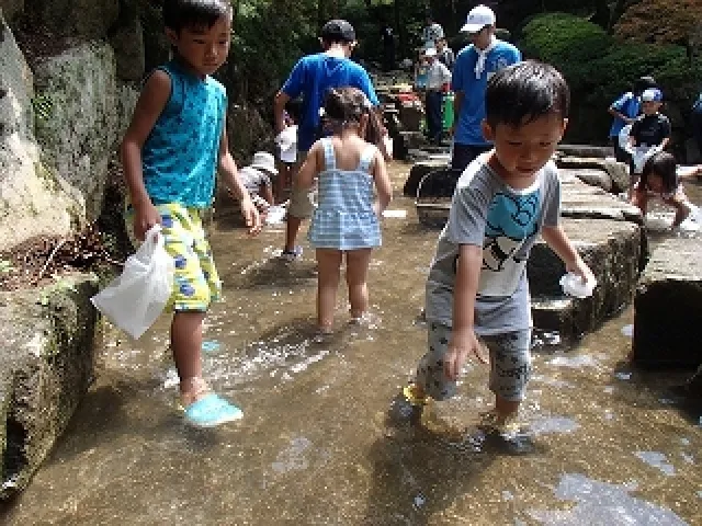 広島市森林公園 アユのつかみ取り_1