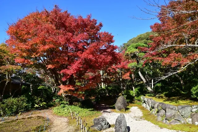 【紅葉・見ごろ】城山公園_1