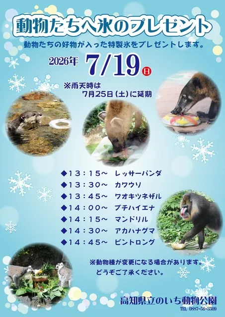 動物たちへ氷のプレゼント_1