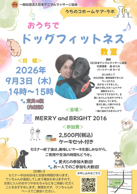 ドッグフィットネス_1