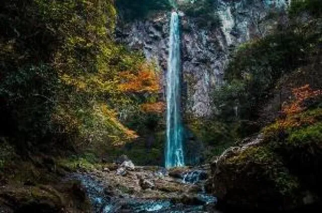 【紅葉・見ごろ】東椎屋の滝_1