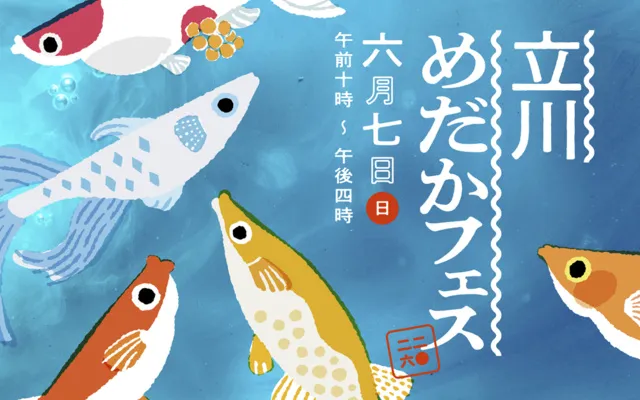立川めだかフェス_1