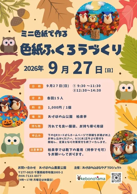 ミニ色紙で作る　色紙ふくろうづくり_1