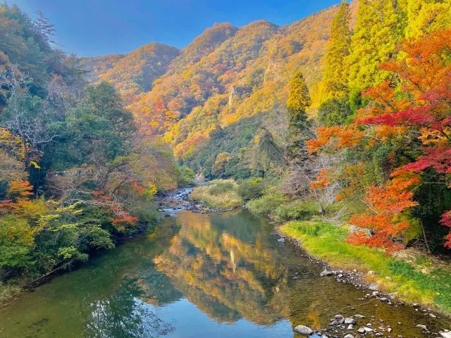 【紅葉・見ごろ】宇甘渓_1