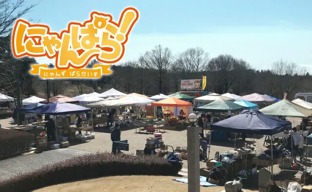 にゃんぱら！_1