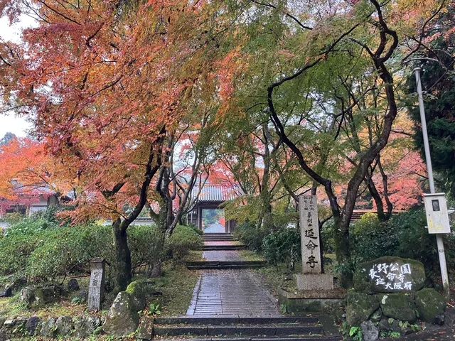 【紅葉・見ごろ】奥河内もみじ公園_1