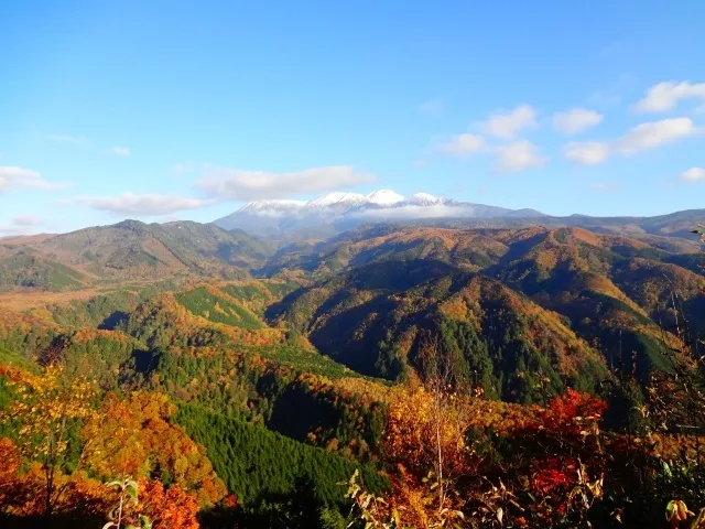 【紅葉・見ごろ】御嶽パノラマライン_1