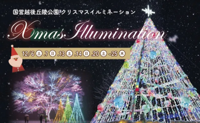 国営越後丘陵公園　Xmasイルミネーション_1