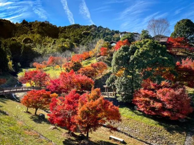 【紅葉・見ごろ】もみじ谷公園_1
