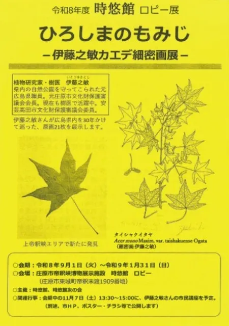 時悠館ロビー展 ひろしまのもみじ-伊藤之敏カエデ細密画展-_1