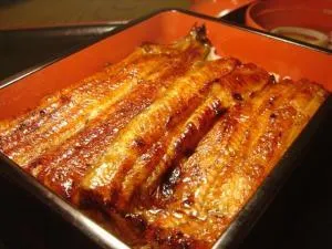 うなぎのぼりの街 成田　成田うなぎ祭り_1