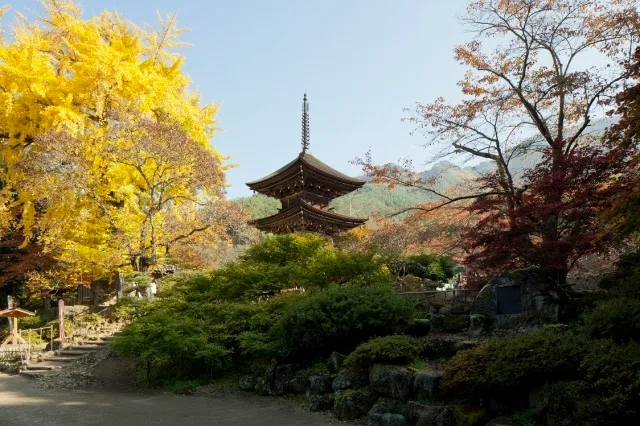 【紅葉・見ごろ】別所温泉_1
